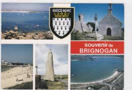 CPM BRIGNOGAN(29)1992-multivues-grand Format - Brignogan-Plage