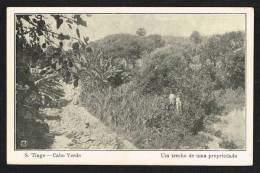 CABO VERDE CAPE VERDE (Portugal) - S. Tiago - Um Trecho De Uma Propriedade - Cap Verde