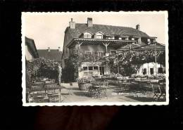 SAINT ST SULPICE Vaud : Auberge Bellevue Terrasse Spécialités Vaudoises - Saint-Sulpice