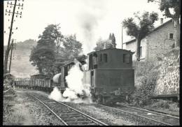 Trains --- Le Cheylard, La 0321 T 61 Manoeuvre Sur La Voie De Lamastre .Agauche, La Ligne De La Voulte  1953 - Treni
