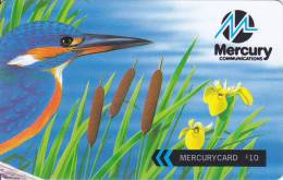 Mercury, MER436A, Kingfisher (For Better Communications), Bird, 2 Scans.   37MERE - Mercury Communications & Paytelco