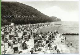 Sellin, Strand Mit Landspitze Nach Norden , Um 1950/1960  Verlag: Heimatblatt Der Mecklenburger, Postkarte, Unbenutzte K - Sellin