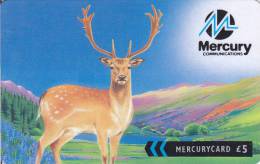 Mercury, MER568A, Fallow Deer (The Fairer Way To Call), 2 Scans.   44MERB - Mercury Communications & Paytelco