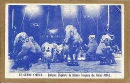 LE  GRAND  CIRQUE   QUELQUES  ELEPHANTS DU  CELEBRE TROUPEAU DES  FRERES   AMAR - Circus
