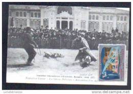 13 - MARSEILLE - EXPOSITION CANINE - LES CHIENS POLICIERS - ARRESTATION ... VIGNETTE EXPO D'ELECTRICITE - Weltausstellung Elektrizität 1908 U.a.