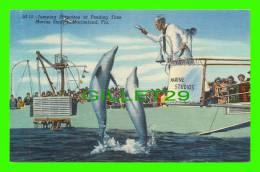 DOLPHINS - JUMPING PORPOISES AT FEEDING TIME  MARINE STUDIOS MARINELAND, FL - Dauphins - - Dolphins