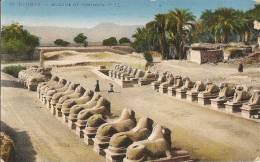 CPA-1913-EGYPTE-KARNAK-AVENUE DES SPHINXES-TBE - Sfinge