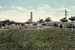 Factory Works Barbados 1905 Postcard - Barbados