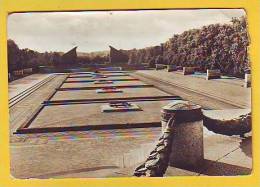 Postcard - The Soviet Memorial, Berlin-Treptow    (V 15967) - Treptow