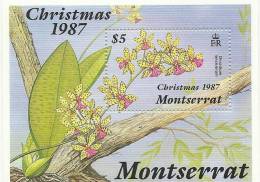 MONTSERRAT - 1987 Christmas Orchids Souvenir Sheet. Scott 682, MNH ** - Montserrat