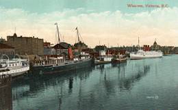 Wharves Victoria BC 1905 Postcard - Victoria