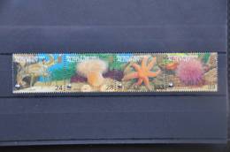 I 36 ++ WWF ALDERNEY MARINE LIFE SEA STAR LOBSTER - Alderney