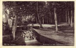 Leuvenum Waterval In Het Leuvenumschebosch - Andere & Zonder Classificatie