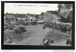 49 - CHATEAUNEUF SUR SARTHE - PLACE DU MARCHE - Chateauneuf Sur Sarthe