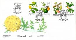 Bophuthatswana - 1991 Edible Wild Fruits FDC # SG 252-255 , Mi 257-260 - Bophuthatswana