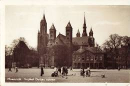 Vrijthof Duifjes Voeren - Maastricht