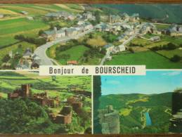 LUXEMBOURG - BOURSCHEID - Vue Aérienne - Château - Vue Sur Michelau. (Multivues) - Bourscheid