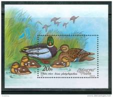 HUNGARY-1988.Souvenir Sheet - Ducks MNH! - Canards