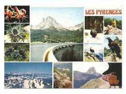 Cp, Midi Pyrénées, Les Pyrénées, Multi-Vues, Voyagée 1988 - Midi-Pyrénées