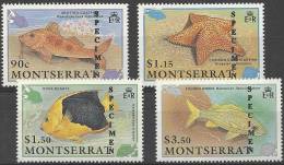 MONTSERRAT - 1991 Fish Overprinted SPECIMEN. Scott 758-61. MNH ** - Montserrat