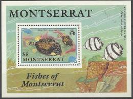 MONTSERRAT - 1991 Fish Souvenir Sheet. Scott 762. MNH ** - Montserrat