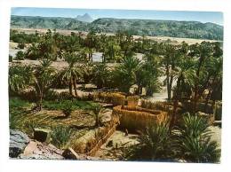 TCHAD PALMERAIE De BARDAI TIBESTI 1970 / FORT LAMY Hotel La Tchadienne - Tsjaad