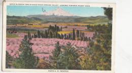 BR45227  Apple Blossom Time In Hood River Oregon Valley    2 Scans - Other & Unclassified