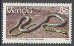 Zuid Afrika South Africa Venda 1986 Mi 127 X ** Philothamnus Semivariegatus Semivariegatus : Bush Snake / Buschschlange - Serpenti