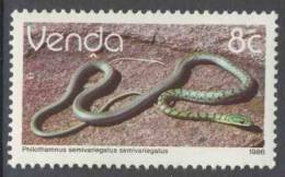 Zuid Afrika South Africa Venda 1986 Mi 127 X ** Philothamnus Semivariegatus Semivariegatus : Bush Snake / Buschschlange - Serpents