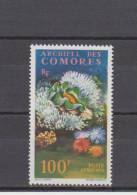 Comores YT PA 5 * : Bénitier Et Corail - 1962 - Poste Aérienne