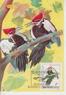 Hongrie YT 2985 CM : Grand Pic - 1985 - Piciformes (pájaros Carpinteros)