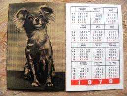 Small Calendar From Latvia 1979 Dog Chien - Tamaño Pequeño : 1971-80