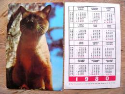 Small Calendar From USSR Latvia1980,  Cat Chat - Kleinformat : 1971-80