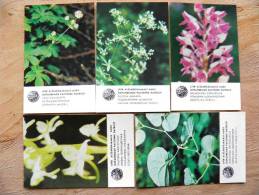 5 Different Small Calendar From USSR Latvia1984,  Plants Flowers - Tamaño Pequeño : 1971-80