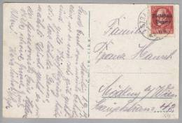 Heimat DE Bay Straubing 1919-09-01 AK Nach Mödling - Storia Postale