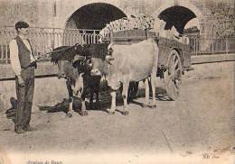 Agriculture    Attelage De Boeufs - Wagengespanne