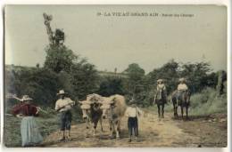 Série LA VIE AU GRAND AIR. - N°19 -  Attelage De Boeufs Et Chevaux - Attelages