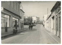 ALJUSTREL  - Vista Parcial Carte Postale - Beja