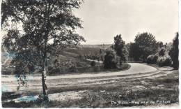 Nederland/Holland, De Steeg, Weg Naar De Posbank, 1962 - Rheden