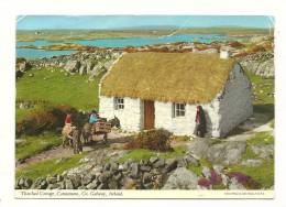 Cp, Irlande, Thatched Cottage, Connemara, écrite - Galway
