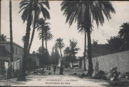 RLIST CPA Algérie 29 Laghouat -LE CHTEIT BOULEVARD DU SUD NON J BRINGAU écrite NORD AFRIQUE ALGERIA - Laghouat