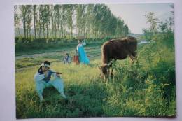 A Shepherd Boy Berger Korea - Corea Del Sur