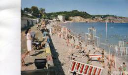 -CPSM - 29 - CROZON-MORGAT - La Grande Plage Et Les Falaises De Rulianec - 803 - Crozon