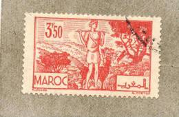 MAROC : Les Arganiers - Paysage - Tourisme. - Used Stamps