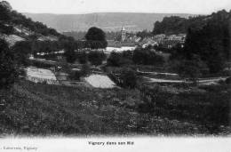 52 - VIGNORY Dans Son Nid - Photo-Émail - 1906 - Vignory