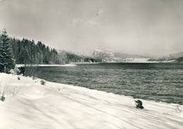 Lac De Joux Et Dent De Vaulion  Cpsm Format 10-15 - Vaulion