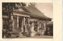 Bern - Waldeck  (Melchenbühl)          Ca. 1910 - Wald