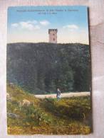 Majestät-Aussichtsturm In Der HAAKE B. Harburg    D90975 - Harburg