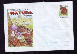 HEDGEHOG COVER STATIONERY ENTIER POSTAUX 1998 UNUSED ROMANIA. - Roedores