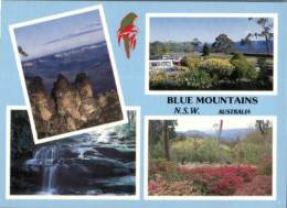 (561) Australia - NSW - Blue Mountains - Andere & Zonder Classificatie